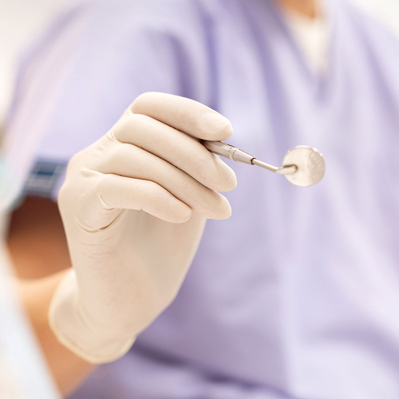 学びの機会が、もりだくさん