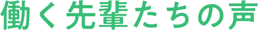 働く先輩たちの声