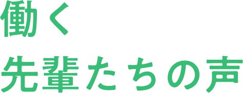 働く先輩たちの声